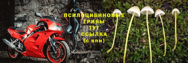 a pvp Алексин